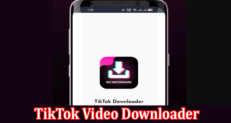 Complete Information About TikTok Video Downloader without Watermark Tool
